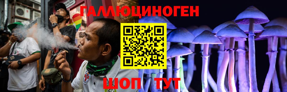 Галлюциногенные грибы прущие грибы Заинск