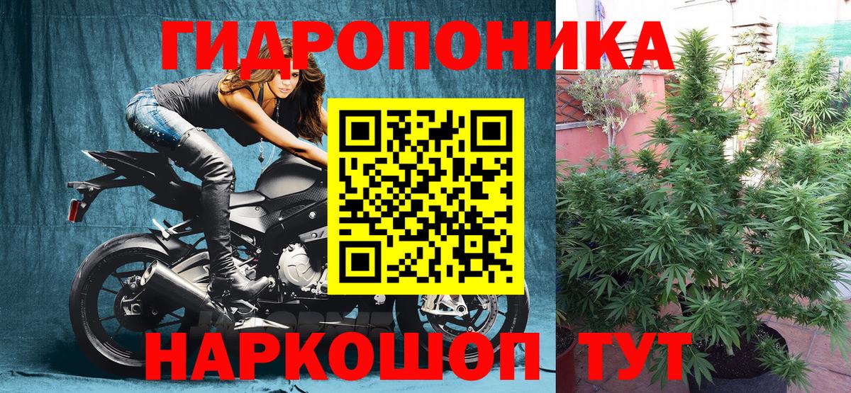 Заинск  Вход с VPN  Вейп ТГК  Продажа наркотиков  ГАШ  Марихуана  Меф МЯУ МЯУ  